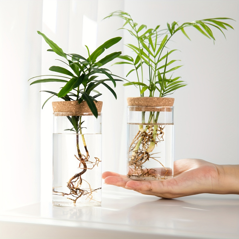 1pc, Hydroponics Plants Deskto - огляд і ціна Propagation Station Vase