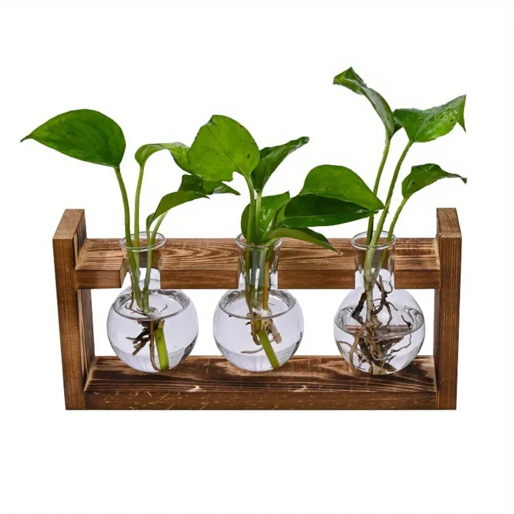 Tabletop Glass Planter Propaga - огляд і ціна Propagation Station Vase