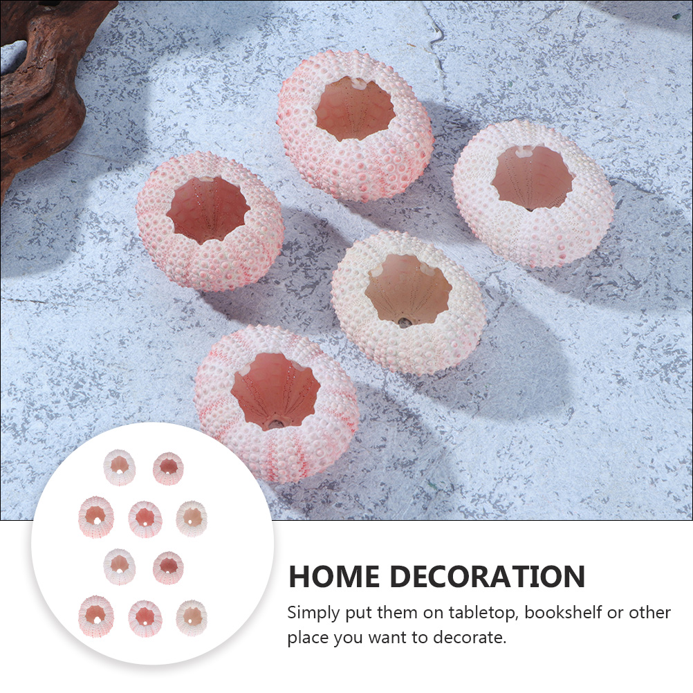 10Pcs DIY Jewelry Making Sea S - огляд і ціна Propagation Station Vase