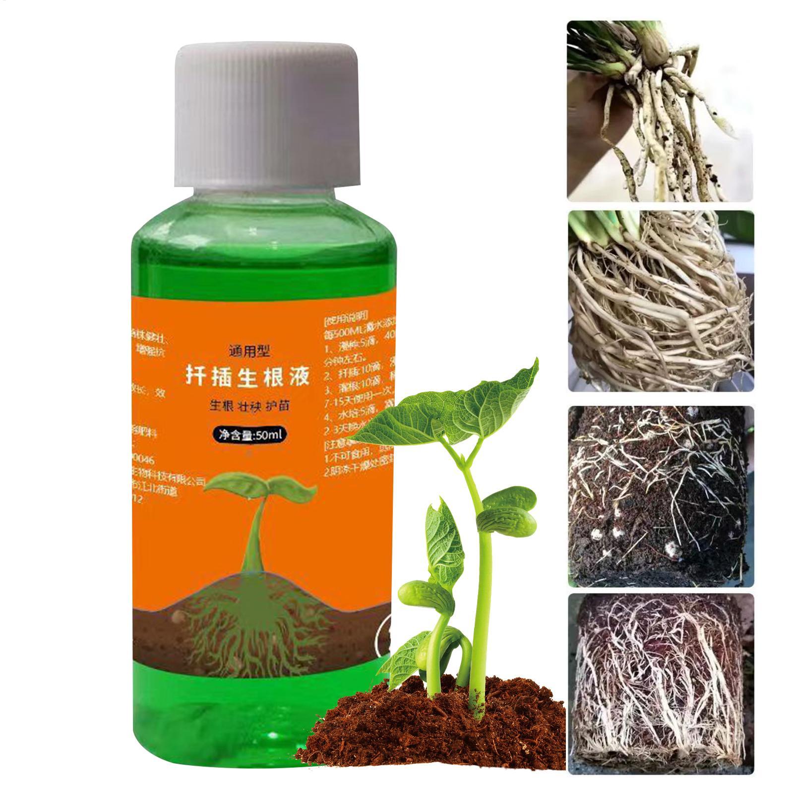 High-Efficiency Root Stimulato - огляд і ціна Root Stimulator Liquid