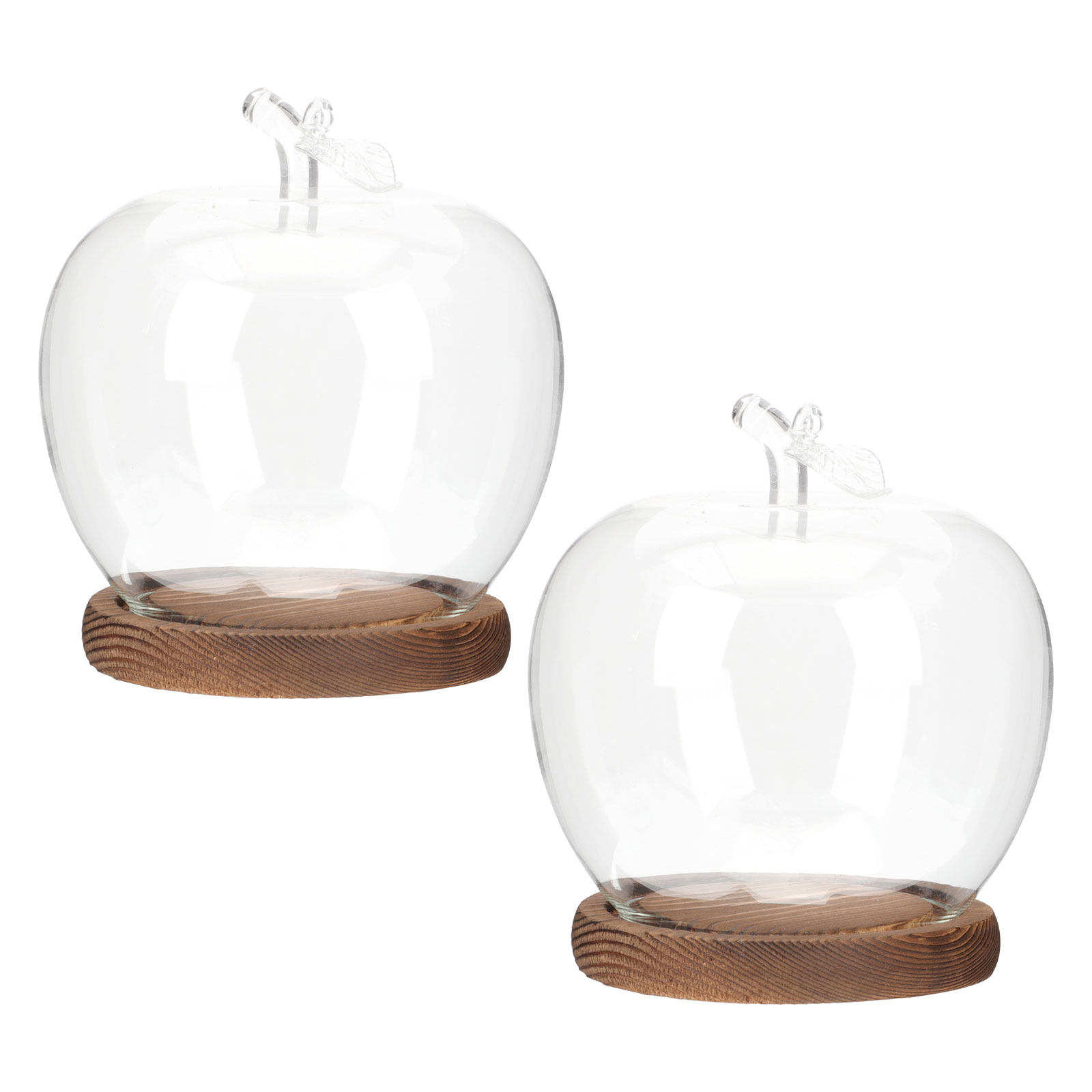 2Pcs Glass Cloche Dome with Wo - огляд і ціна Plastic Dome Clear