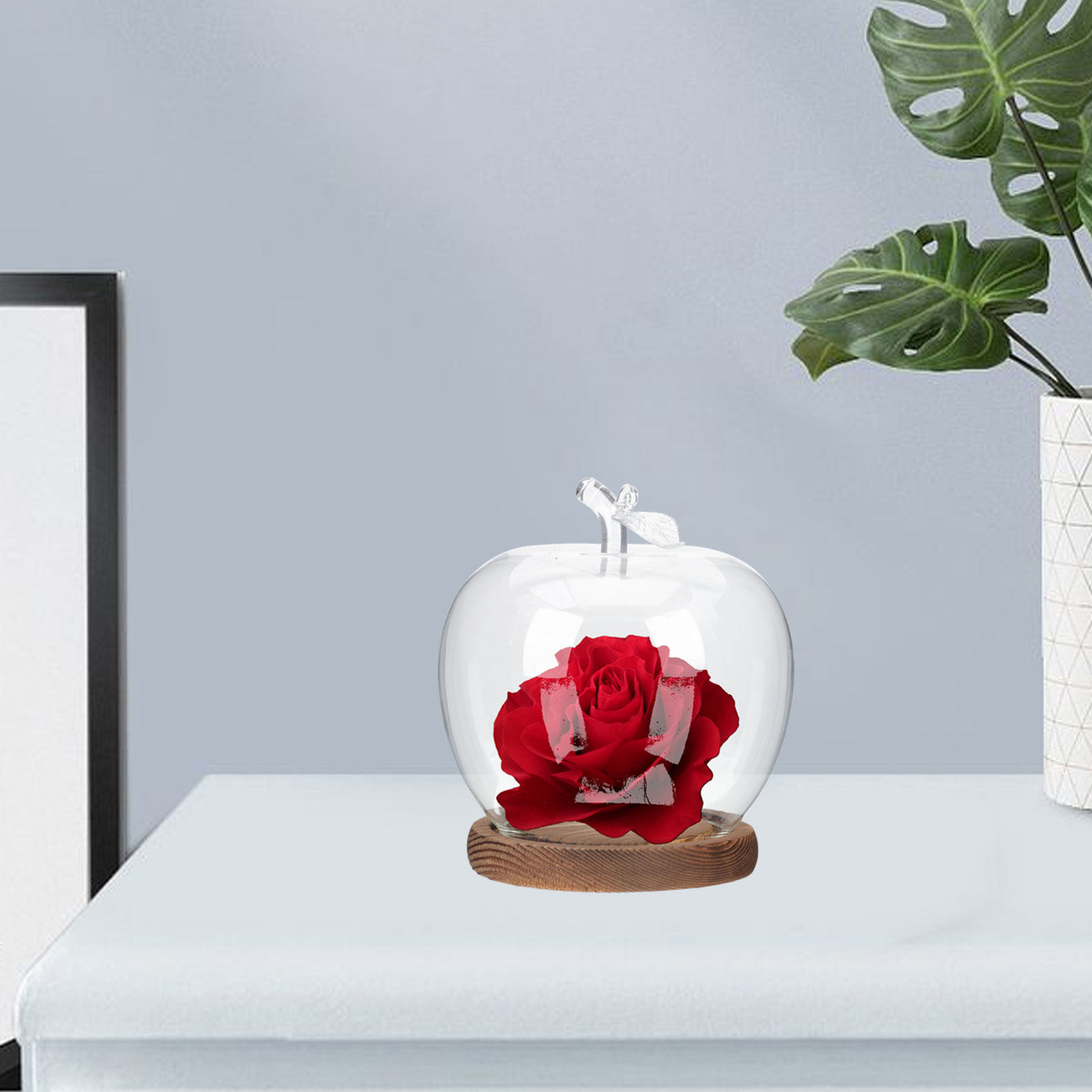 2Pcs Glass Cloche Dome with Wo - огляд і ціна Plastic Dome Clear