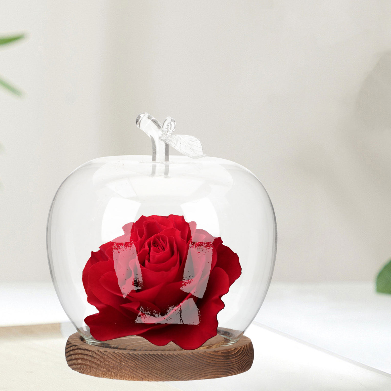 2Pcs Glass Cloche Dome with Wo - огляд і ціна Plastic Dome Clear