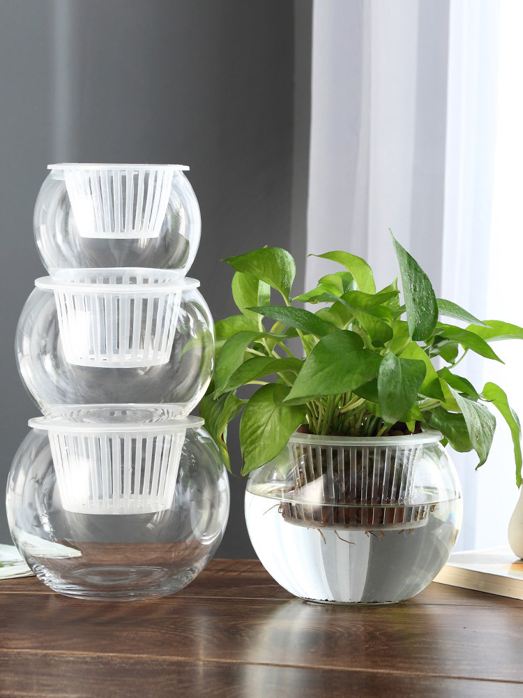 Hydroponic Glass Vase Glass Gr - огляд і ціна Propagation Station Vase