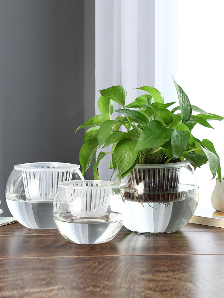 Hydroponic Glass Vase Glass Gr - огляд і ціна Propagation Station Vase